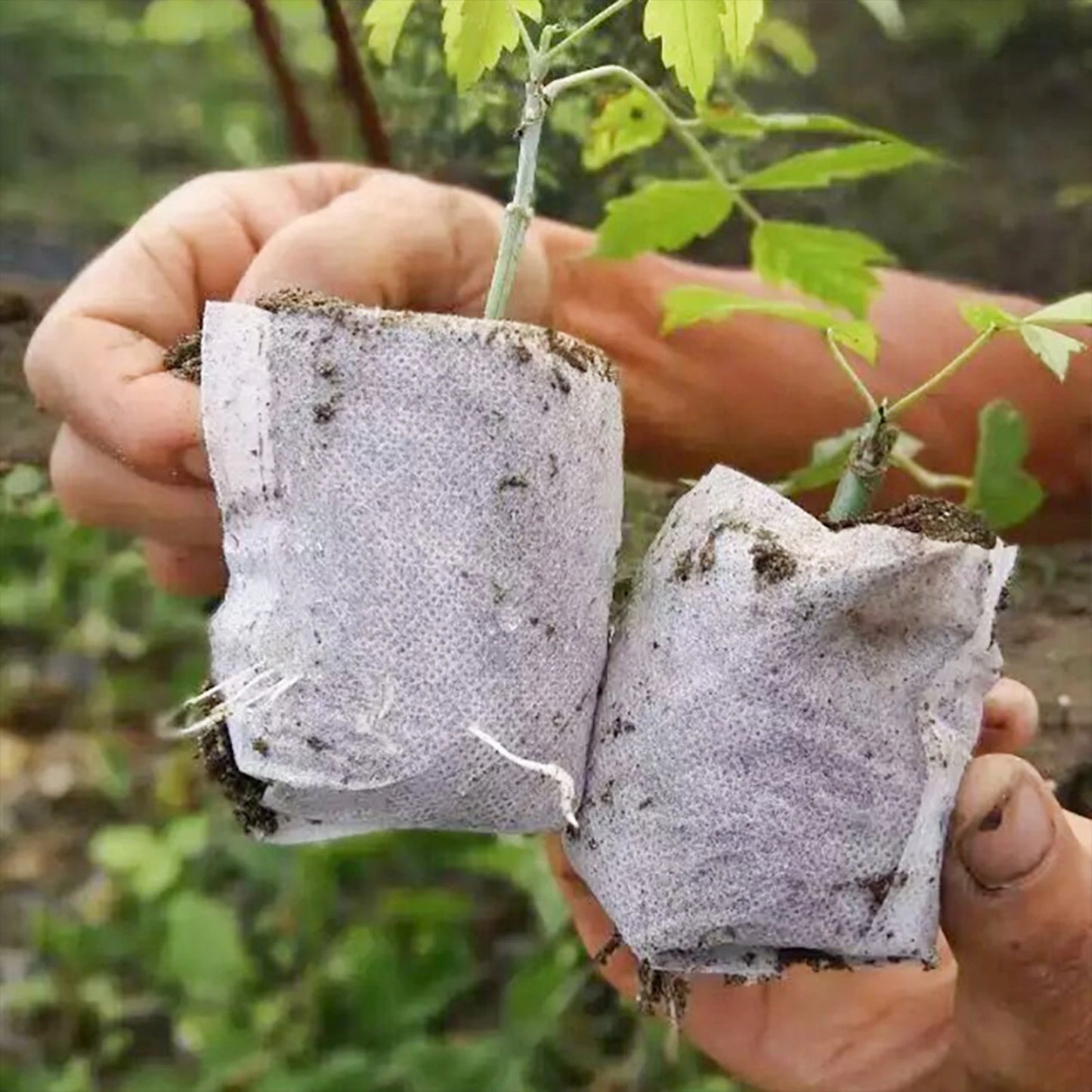 Seeding Grow Bags Biodegradable Seed Nursery Bags Plants Seeds To Sow Flower Pots Pouch Home Garden Supply