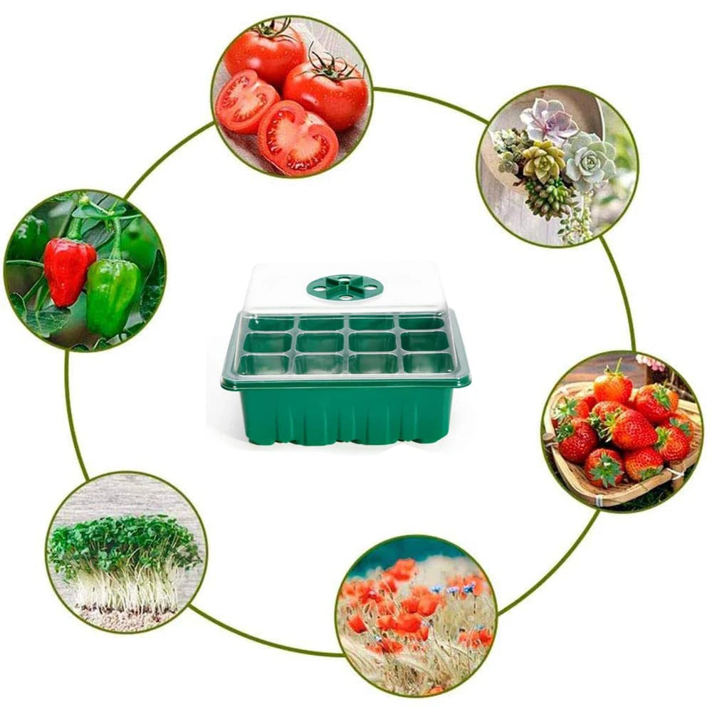 Seed Starter Tray Plant Starter Kit and Base Mini Greenhouse Germination Kit for Seeds Growing Starting