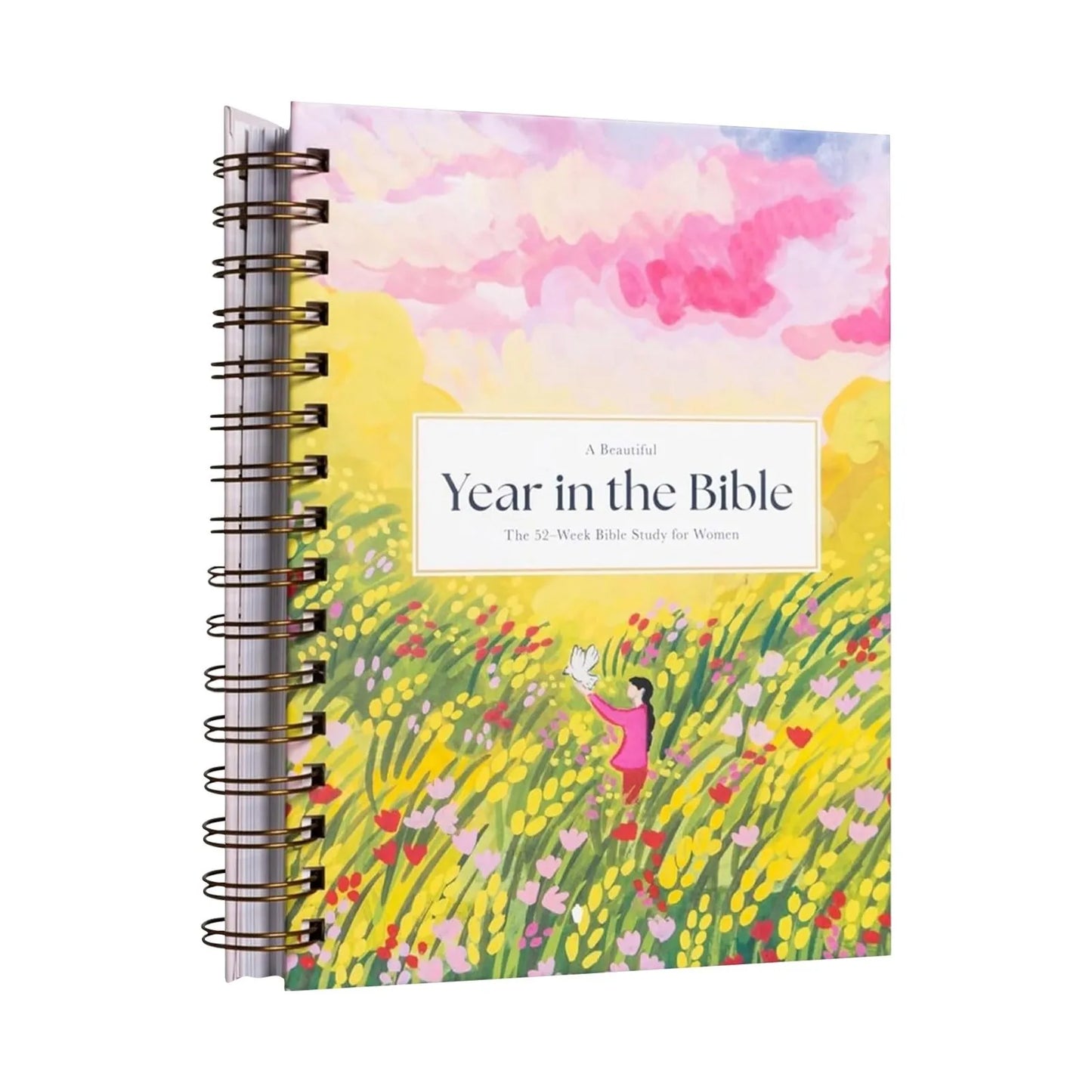 A Beautiful Year In The Bible//Study Guide with Suggested Readings