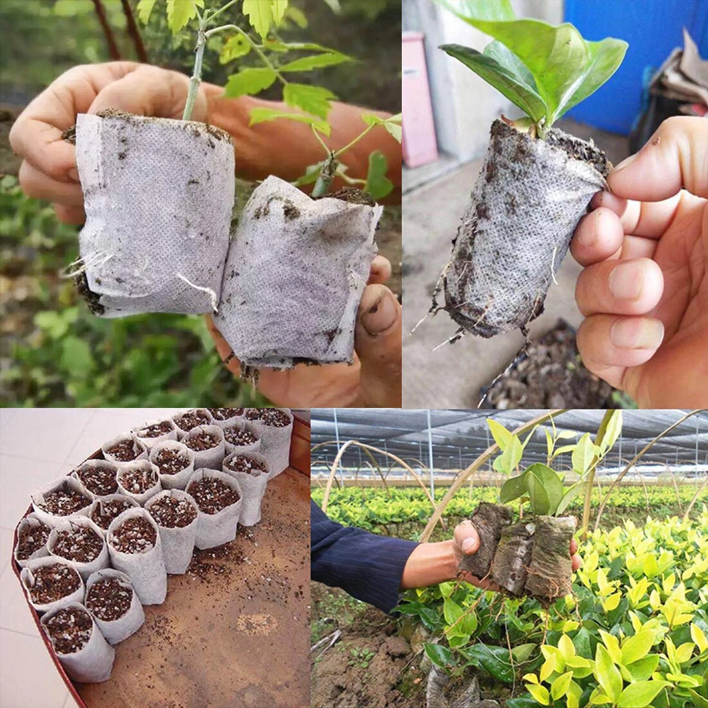 Seeding Grow Bags Biodegradable Seed Nursery Bags Plants Seeds To Sow Flower Pots Pouch Home Garden Supply