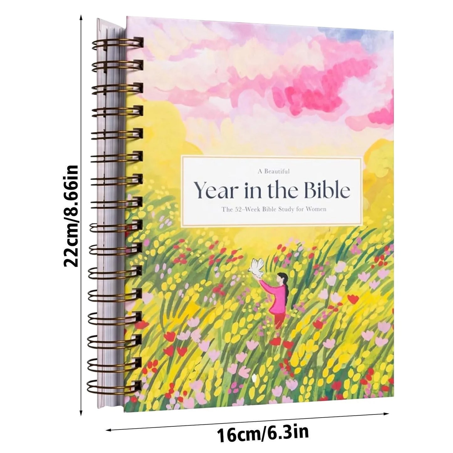 A Beautiful Year In The Bible//Study Guide with Suggested Readings