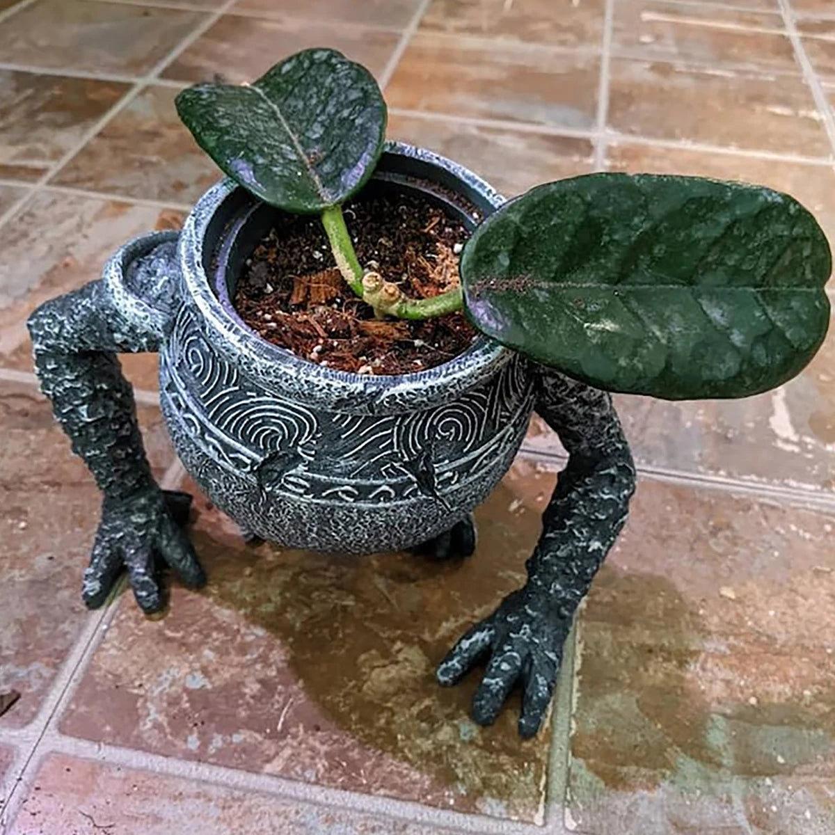 Jar &/or Potplant