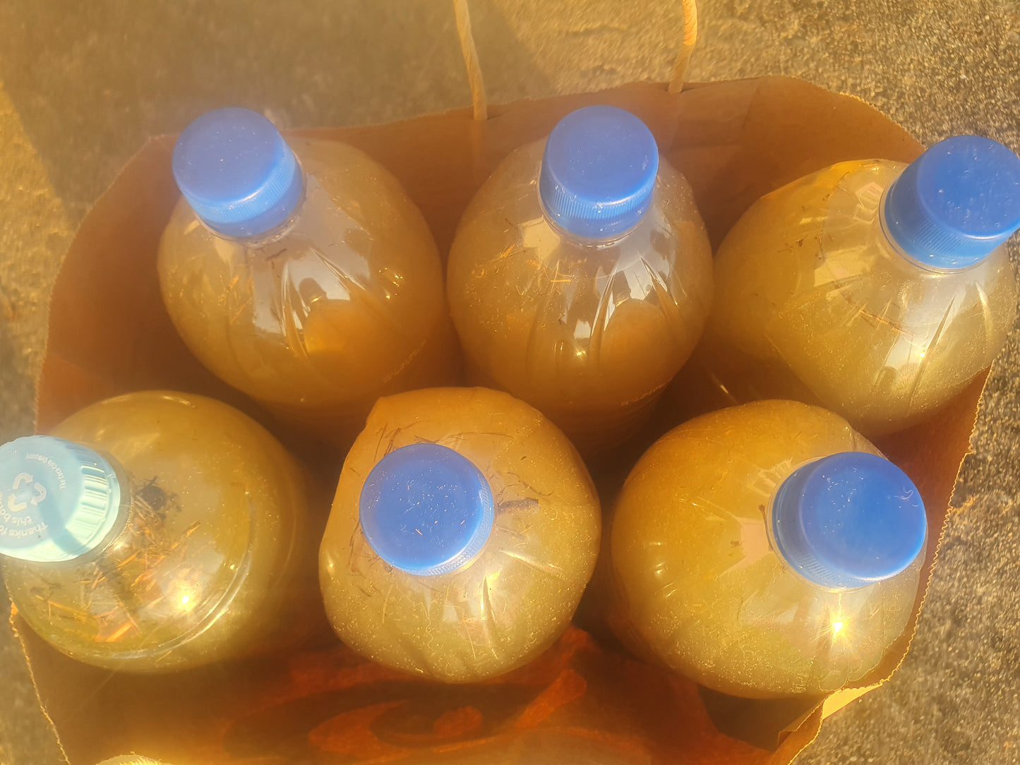 🌿Garden Nymph - Seaweed Growth Tea Plant Booster !!SHIPPED NZ ONLY!!