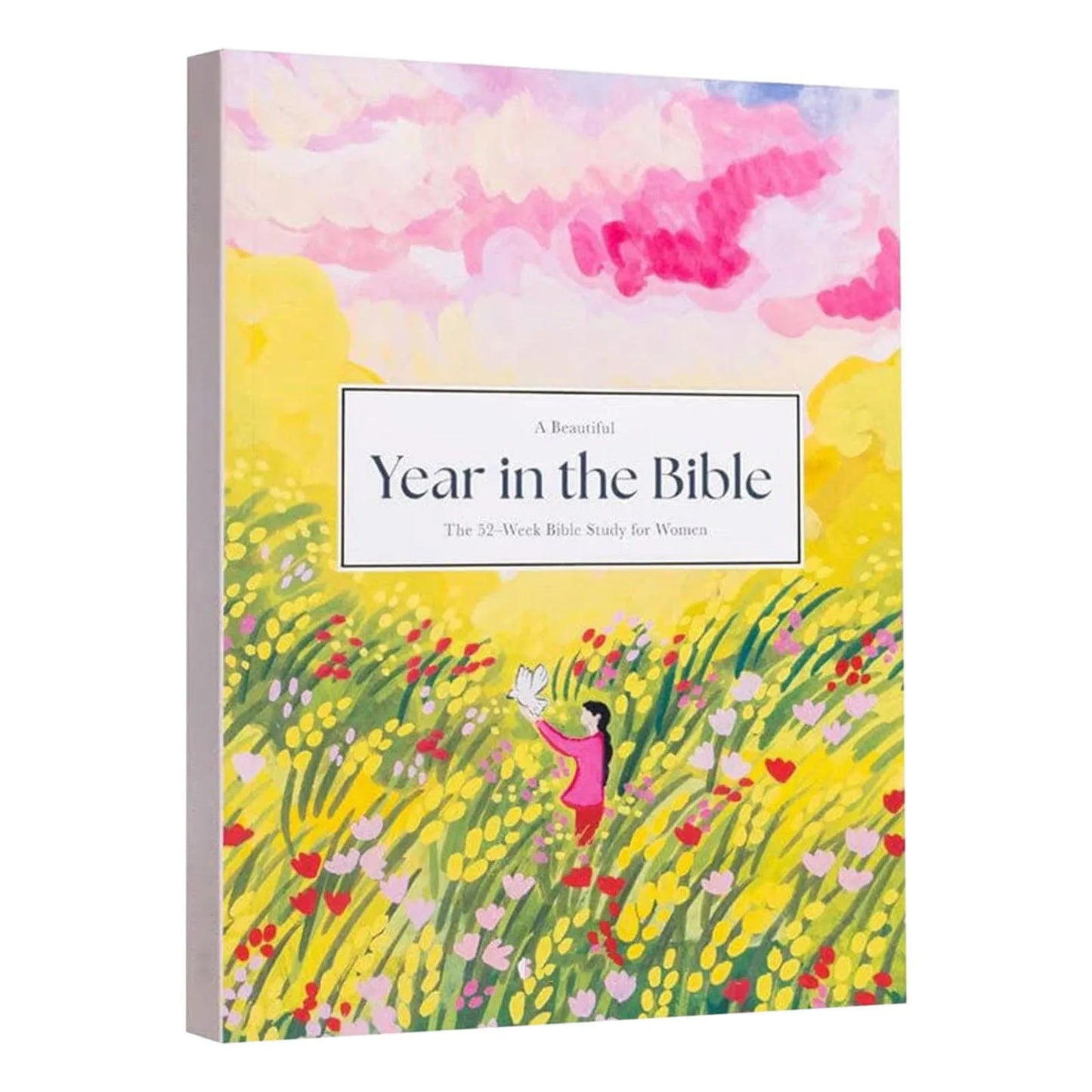A Beautiful Year In The Bible//Study Guide with Suggested Readings